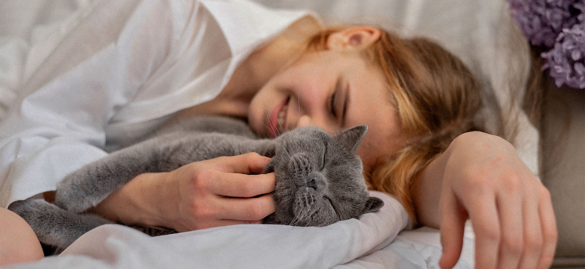 curiosidades sobre el sueño de los gatos